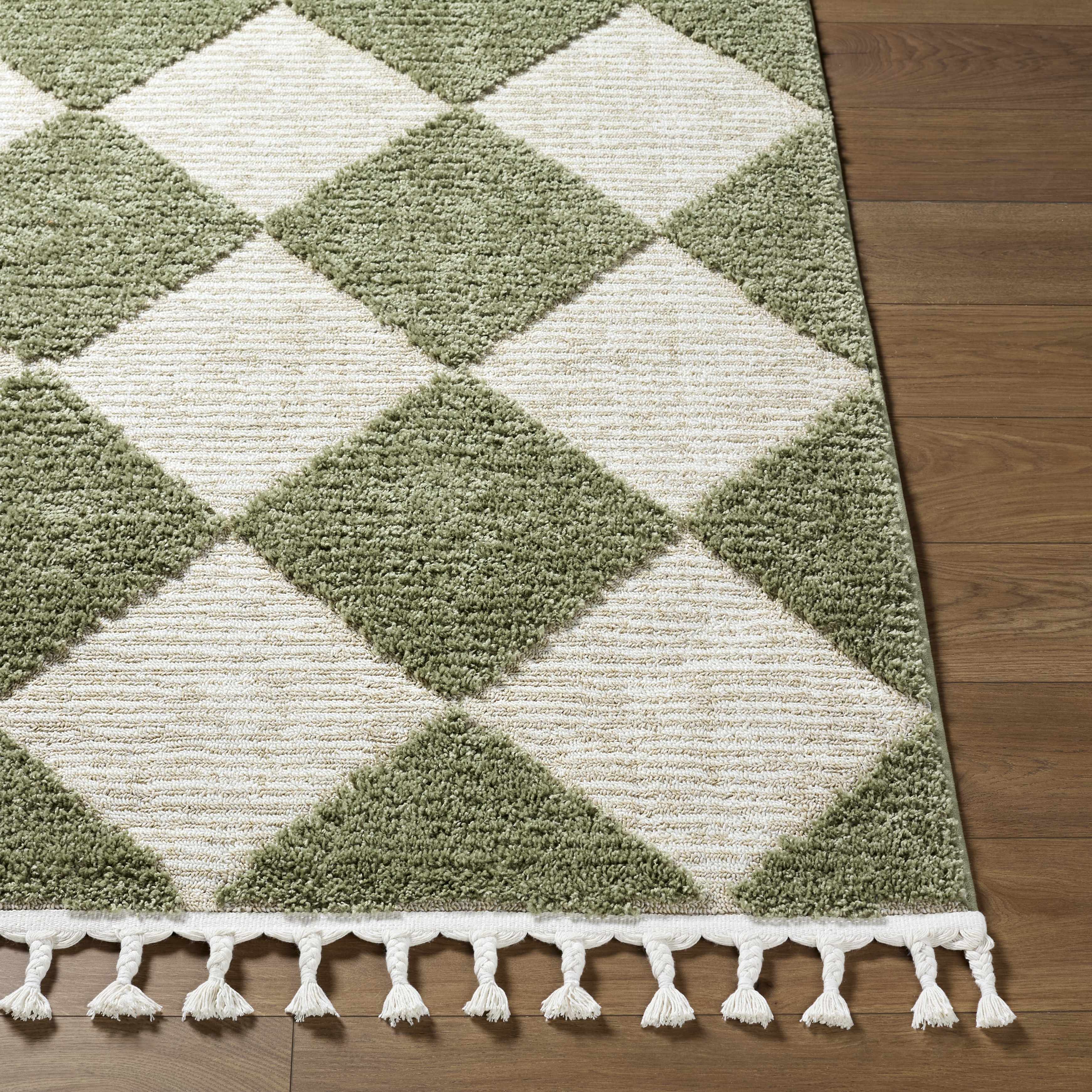 Aitana Area Rug - Image 3