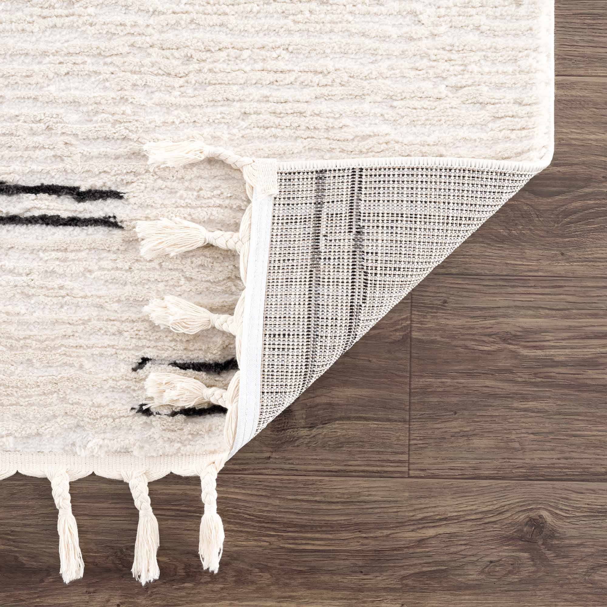 Riad Black Striped White Rug with Tassels - Image 5
