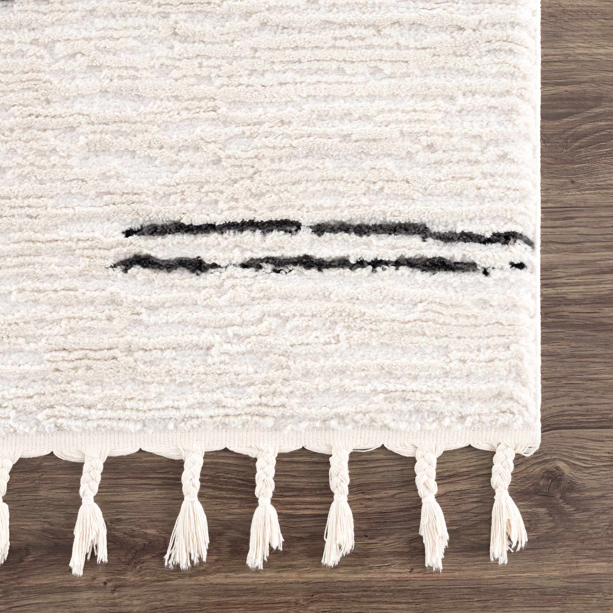 Riad Black Striped White Rug with Tassels - Image 8